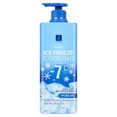 엘라스틴 아이스프리즈 두피 쿨링 샴푸 멘솔향, 855ml, 1개