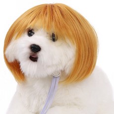 Maison Puff寵物派對生日祝賀服裝假髮, 1個, 漂色短髮