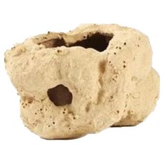 애와니 반려동물 둥지 번식장 물고기 은신처 돔 2호, 1개