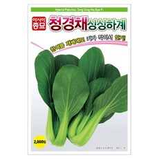 아시아종묘 청경채 싱싱하계 씨앗 2000립, 1개 1개