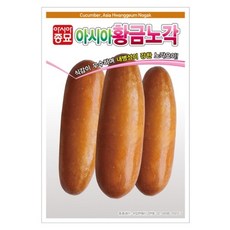 아시아종묘 씨앗 오이 아시아황금노각 50립, 1개