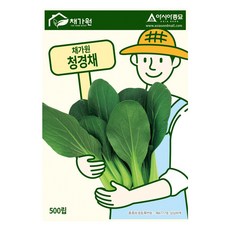 아시아종묘 씨앗 청경채 500립, 1개