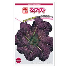 아시아종묘 적겨자 씨앗 2000p, 1개