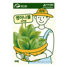 아시아종묘 명이나물 산마늘 씨앗 50립, 1개