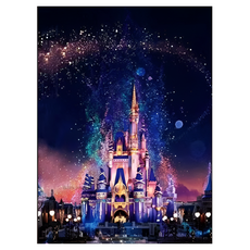 DULU 沉浸時光 DIY鑽石畫 城堡 40 x 50 cm, 類型1, 1個