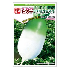 아시아종묘 아시아 가을 저장 무 씨앗 12g, 1개