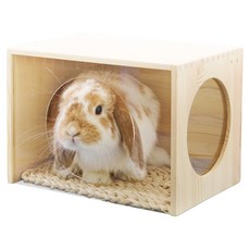 GEX 療癒透明松木屋 66254, 1個