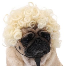 Maison Pupe 狗狗高級假髮 角色扮演 派對 生日慶祝 捲髮, 1個, 金髮