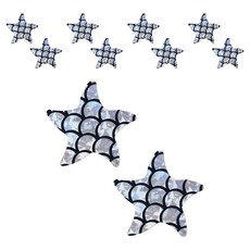 Karbon特別圖案胸貼 銀色 海星 霧面, 10個