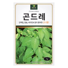 다농 곤드레 씨앗 1g, 1개