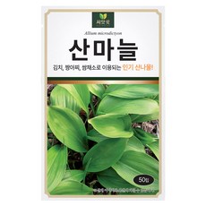 다농 산마늘 씨앗 50립, 1개