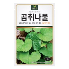 다농 곰취나물 씨앗 1g, 1개 1개