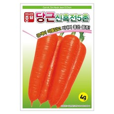 아시아종묘 당근 신흑전5촌 씨앗 4g, 1개 1개