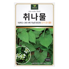 다농 취나물 씨앗 1000립, 1개