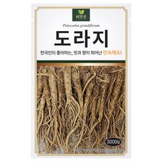 다농 도라지 씨앗 3000립, 1개
