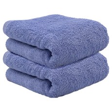hiorie 日本桃雪 泉州飯店加厚毛巾2件組, 1組, 丁香藍