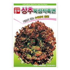 아시아종묘 상추 뚝섬적축면 씨앗 6000립, 1개