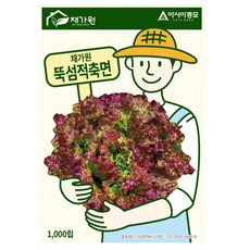 아시아종묘 상추 뚝섬적축면 씨앗 1000립, 1개