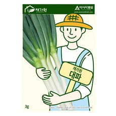 아시아종묘 대파 씨앗 3g, 1개