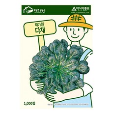 아시아종묘 다채 씨앗 1000립, 1개