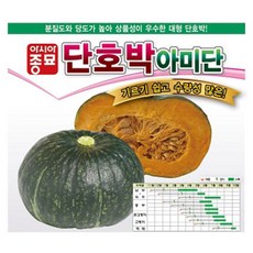 아시아종묘 단호박 아미단 씨앗 40p, 1개