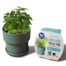 메이크정글 빅 가드닝 키트, 허브바질