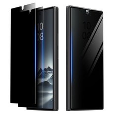 araree 9H高強度外螢幕顯示器防窺鋼化玻璃 Core Privacy 2片組, 1套