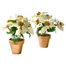 Meric Garden 高仿真 台灣手工限定雪白聖誕紅小盆栽 2個, 1組, 白色