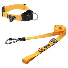 분독 강아지 플레이 카라비너 리쉬 3.2m + 마틴게일 목줄 세트, 옐로우, 1세트