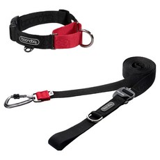 분독 강아지 플레이 카라비너 리쉬 3.2m + 마틴게일 목줄 세트, 블랙, 1세트