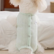 Puppy Dream 狗狗夢鄉雲朵舒適連身衣 10035, 綠色, 1個