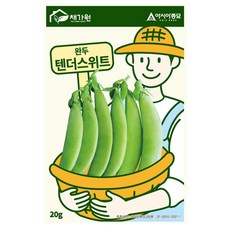 아시아종묘 씨앗 콩 텐더스위트 완두콩 20g, 1개