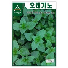 아시아종묘 씨앗 허브 오레가노 200p