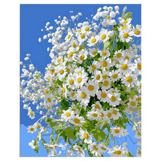 Taminayo 簡易DIY數字油畫 40 x 50 cm, 1個, 雛菊