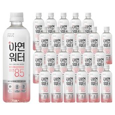 티에프티 아연 워터, 500ml, 24개