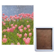 Pose Shine 3D DIY 花朵鑽石畫 畫布款 + 內框 30 x 40 cm 套組, 1套, FLOWER3