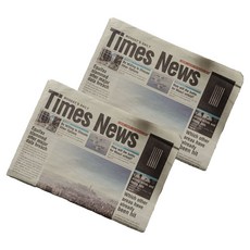 인리치 분위기있는 레트로 촬영소품 Times 옐로우 2p, 프레임 없음