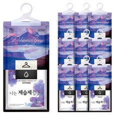 홈트너 옷장용 나는 제습제 입니다 본품, 120g, 10개