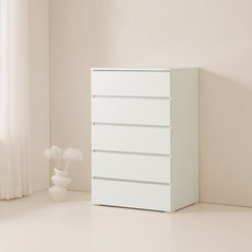 데코파인 리즈 서랍장 방문설치, 화이트, 5단