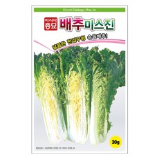 아시아종묘 배추 미스진 씨앗 30g, 1개