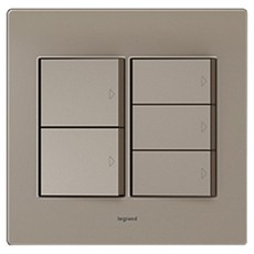Legrand 羅格朗 Simple Tavian Deco 壓克力 5孔開關 香檳金珍珠, 1個