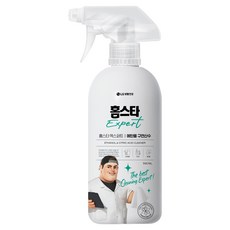 홈스타 엑스퍼트 에탄올 구연산수, 500ml, 1개