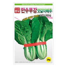 아시아종묘 씨앗 배추 만수무강엇갈이 20g, 1개