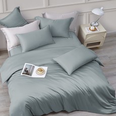J-bedtime 床寢時光 60支奧地利正版蘭精100%純天絲 棉被寢具3件組 SP5563S