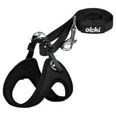 올치 강아지 산책 콤비V 버클 하네스 + 리드줄 세트 HV6046, 블랙, 1세트