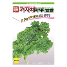 아시아종묘 씨앗 겨자 아시아곱슬 2000p, 1개