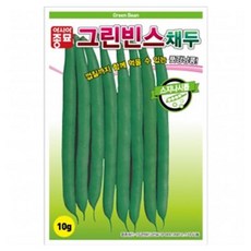 아시아종묘 그린빈스채두 씨앗 10g, 1개
