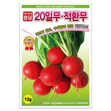 아시아종묘 20일 적환무 씨앗 12g, 1개