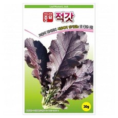 아시아종묘 적갓 씨앗 30g, 1개