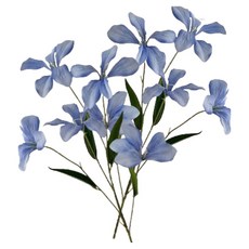 그린허그 조화 오렌지자스민, 블루, 2개